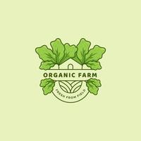 icono de logotipo de granja de lechuga verde orgánica estilo de emblema de insignia de línea monolina vector