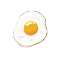 Fried egg on the white background vector