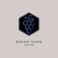 hexagonal grapes fruit logo icon template design for brand or company and other vector