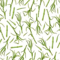 Green sugar cane on a white background seamless pattern. Vector background.