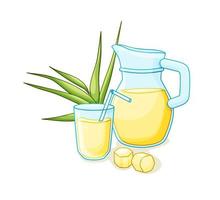 Juice in a jug and a glass with a straw on a white insulated background.  Product made from sugar cane. Vector cartoon illustration.