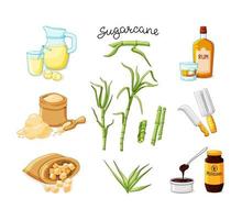 Cane sugar stalks and leaves set. Freshly squeezed sugar cane juice in a jug and glass, cubes, glass bottles of rum, bamboo, molasses. Vector illustration on a white isolated background