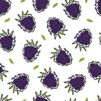 Black raspberry seamless pattern on a white background. Hand-drawn berries and leaves. Vector illustration.