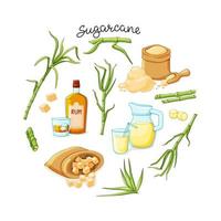 Cane sugar with stem and leaf plants and products set on a white background. Freshly squeezed cane juice in a jug, cubes, a bottle of rum, bamboo, molasses. A natural organic product. vector