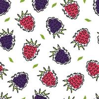 Raspberry and blackberry seamless pattern. Berries on a white isolated background. Abstract. Vector illustration.
