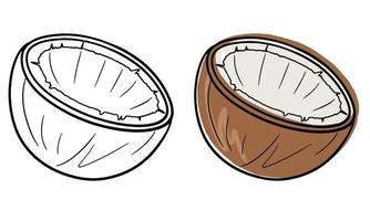 A set of two halves of coconut, vector illustration, monochrome image and color