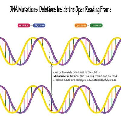 DNA mutations base pair deletions