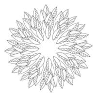 Coloring page of a mandala from the contours of leaves, parts of a plant with straight symmetrical veins arranged in a circle vector