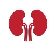 Kidney icon vector logo design template