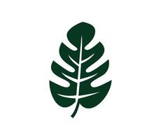 Monstera leaf icon vector flat style