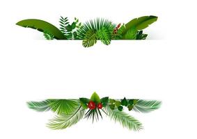 Tropical leaves background. Rectangle plants frame with space for text. Tropical foliage with horizontal banner vector