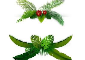 Tropical leaves background. Rectangle plants frame with space for text. Tropical foliage with horizontal banner vector