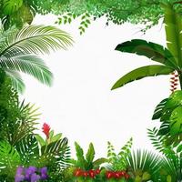 Tropical jungle on white background vector
