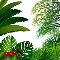 Tropical jungle on white background vector