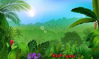 Morning in jungle rainforest background vector