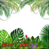 fondo de selva tropical con palmeras y hojas sobre fondo blanco vector