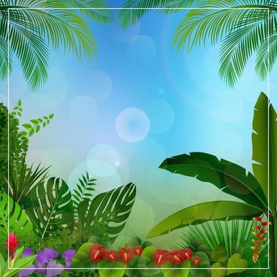 Tropical jungle background with palm trees and leaves