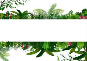 fondo de hojas tropicales. marco de planta rectangular con espacio para texto. follaje tropical con banner horizontal vector