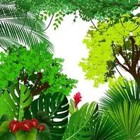 Tropical jungle background with palm trees and leaves on white background vector