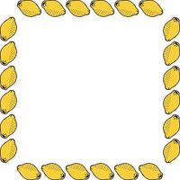 Square frame with lemon on white background vector