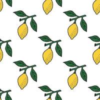 Seamless pattern with lemon on a green branch on white background vector