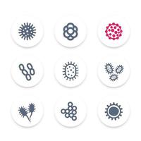 conjunto de iconos de bacterias, microbios y virus, pictogramas vectoriales vector