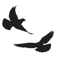Pigeon Silhouette Art vector