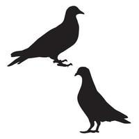 Pigeon Art Silhouette vector