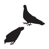 Pigeon Art Silhouette vector