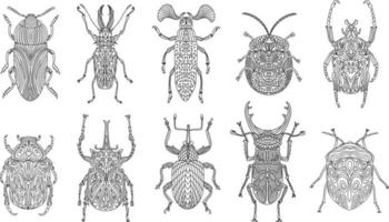 A collection of beetles and insects in a linear style. Linear vector illustration