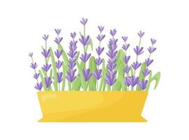 flores de lavanda en una maceta de cerámica de estilo moderno. plantas de interior en una olla de barro. jardinería. vector