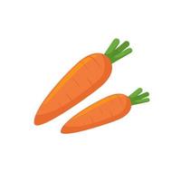 Ripe orange carrots isolated on a white background. The concept of eco-food, the element of graphic design vector