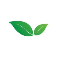 una hoja verde fresca sobre fondo blanco, icono de hoja natural, logotipo, plantilla de símbolo, hermoso vector de hoja verde, utilizado para el diseño de elementos y el icono verde bioeco