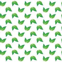 a green pattern of leaves spreading on white background vector