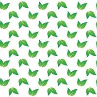 a green pattern of leaves spreading on white background vector