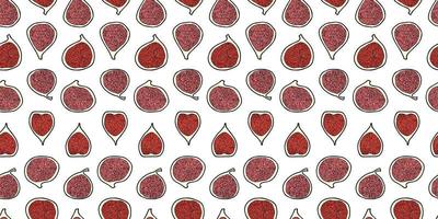 Many figs isolated on white background. Vector seamless pattern.