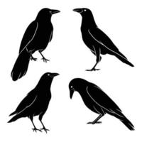 silueta dibujada a mano de cuervo vector
