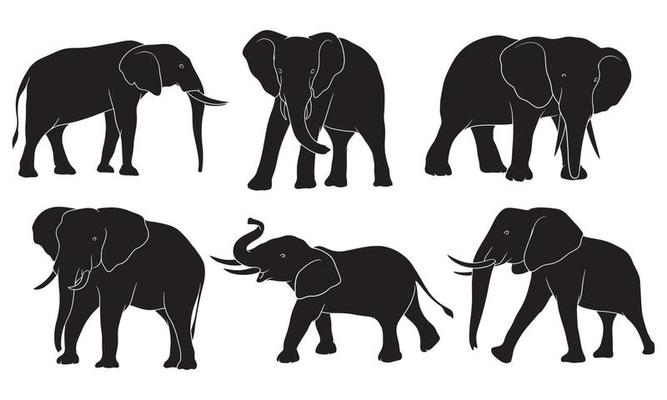 Elephant Silhouette Vector Art, Icons, and Graphics for Free Download