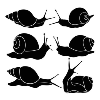 hand drawn silhouette of snail