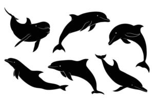 silueta dibujada a mano de delfines vector
