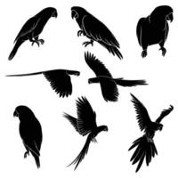 hand drawn silhouette of parrots vector