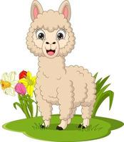 Cute llama cartoon in the grass vector