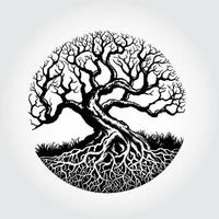 raíz de la ilustración de vector de árbol. ilustración de una hermosa planta.