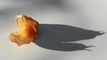 fruta de uchuva orgánica physalis peruviana sobre fondo blanco. foto