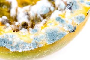 Close-up, mold on passion fruit. The concept of spoiled food
