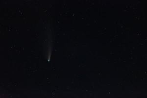 Comet Neowise in dark night sky with stars photo