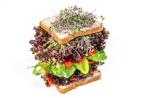 Sandwich with vegetables, lettuce and microgreens on a white background. Vegetarian food photo