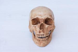 vista frontal del cráneo humano foto