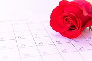 flor de rosa única en la página del calendario, valentin, concepto de tarjeta de san valentín, foto