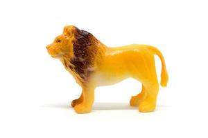 Lion model isolated on white background, animal toys plastic photo